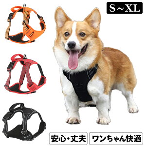 y N[|zz! z  n[lX p ^ ^  \tgpbh 킢 Ȃ h~ D SȂ ȒP ʋC ԔˈSU s⏕ 