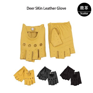 v wO[u Y TCNO[u v w؂ oCNO[u ėp U[ v fBAXL I[vtBK[ O[u {v ]