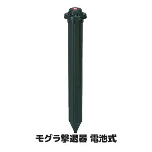 gUŃOn˂݂ O ΍  ގ _Q     OEh St Oފidrj SV-2928