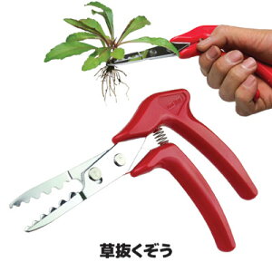 yzy[ցz G̍mɂŔ G@G΍@@sZbg@K[fjO@G݁@|pi@ { 