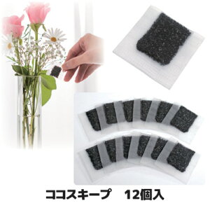 y[J[̃XgAzyzy[ցz ԕrɓ邾łԂ ؂ ؉ ԕr CI  G Jr }  OCt   { 㓡 GOTO I