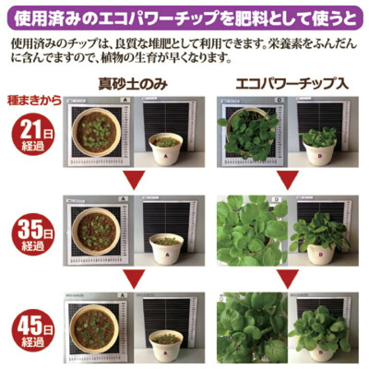 話題の生ゴミ対策 生ゴミが自然と無くなる不思議 生ごみ処理機 家庭用コンポスト 自然にカエルｓ 基本セット エコクリーン 日本製 生ゴミ 肥料 Sks 101型 電気代不要の経済的な家庭用生ゴミ処理機 ガーデニング