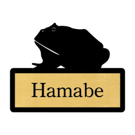 楽天市場 ベルツノガエル 販売の通販