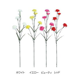楽天市場 訳あり 送料無料 種類 植物 カーネーション 花 観葉植物 花 ガーデン Diy の通販 楽天市場 訳あり 送料無料 種類 植物 カーネーション 花 観葉植物 花 ガーデン Diy の通販