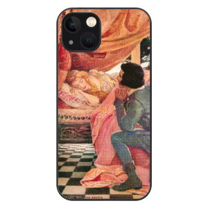 WFV[EEBRbNXEX~X X̔(iPhone13\tgP[X) iPhone13V[Y \tgP[X jZbNX ANZT[ S X̔ pubNhC A[g