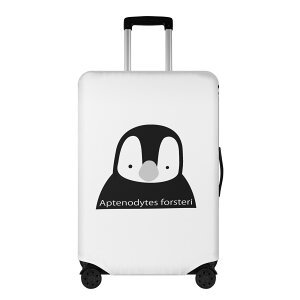 cyM(X[cP[XJo[) X[cP[XJo[ jZbNX ANZT[  gxObY s rWlX cyM Gy[yM  yM cut