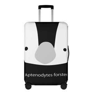 cyM(X[cP[XJo[) X[cP[XJo[ jZbNX ANZT[  gxObY cyM Gy[yM 킢 |bv yM mN cut