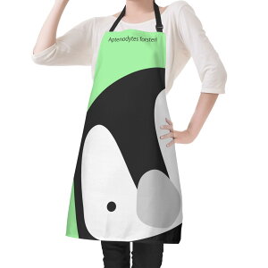 cyM(Gv) Gv jZbNX z[fR[V  cyM Gy[yM 킢 yM |bv O[ cut