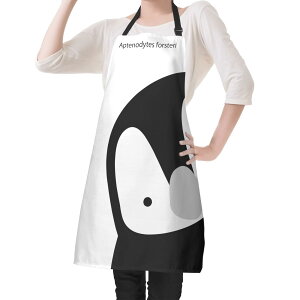 cyM(Gv) Gv jZbNX z[fR[V  cyM Gy[yM 킢 |bv yM mN cut