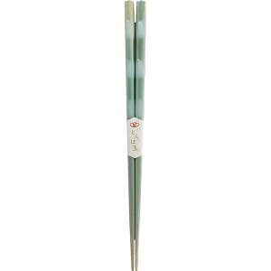 y5Zbgz AIo H Ƃڋ ANA 23cm F