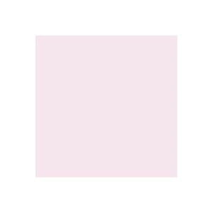 i܂Ƃ߁jWCebNX PF肪݃TN 100 B260J-31y×20Zbgz