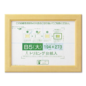 ܏z Gz |X^[z Rs[p g~Opt SP B5ij [@F194×273mm i`