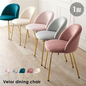 p[\i`FA 1r 47×s48×71×ʍ46cm fB[vsN X`[ gi rO _CjOysz