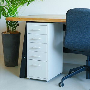 y2Zbgz炵̃Xg[WS5i(zCg/) ItBX fXNS X`[ Lrlbg o _ ގ[ TChS [ ؍CeA Ɩp gi NK-481