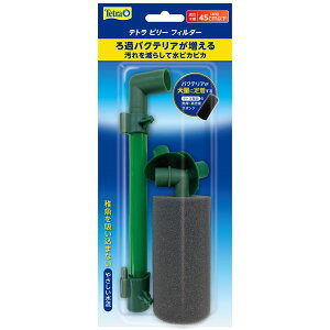 i܂Ƃ߁jr[tB^[ iϏ܋pi^pij y×2Zbgz