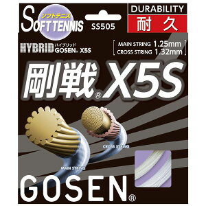 GOSENiS[Zj nCubh X5S i` SS505NA