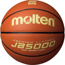 【モルテン Molten】 ミニバス バスケットボール 【5号球 軽量】 人工皮革 JB5000 B5C5000L 〔運動 スポーツ用品〕