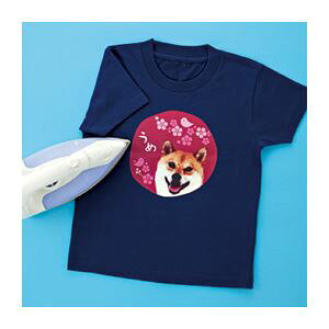 �T�����T�v���C �C���N�W�F�b�g�J���[�z�p�A�C�����v�����g�� JP-TPRCLN-10