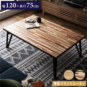  120cm ` EHibg tbgq[^[ UCN e[u [e[u rO _CjO ysz