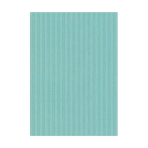 (܂Ƃ) qTS bv{[h  A4XJC RBU02A4 1pbNi3j y×50Zbgz