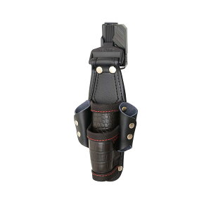 ^W}(Tajima) EHG 4{ SFKSG-P4 @݁I