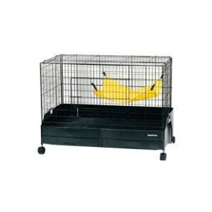 C[W[z[ tFbg80 yEP[W/tFbgpz @݁I