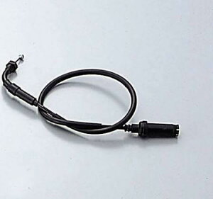 nP[@HB6229 O XbgP[u ubN NS-1 @݁I