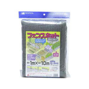 tFXlbg O[ 1m×10m @݁I