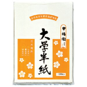 w 333×240mm 100(^-914) @݁I