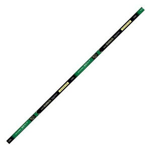 uv X^Cv sbhX^[g`(40`/F) FLR40SSEEX-N/32 @݁I