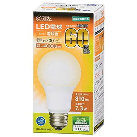 LED電球(60形相当/810lm/電球色/E26/広配光200°/密閉形器具対応)