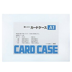 J[hP[XA1(262-10)uP:}Cv @݁I