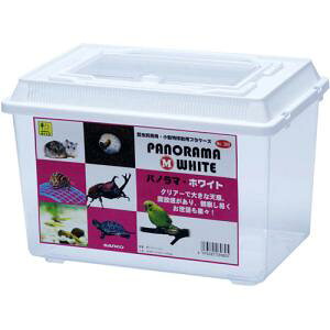 SA398 vP[Xpm}()zCg 398 @݁I