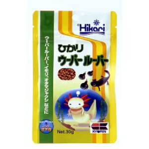 爬虫類 両生類用飼育アクセサリー ウーパールーパーの人気商品 通販 価格比較 価格 Com