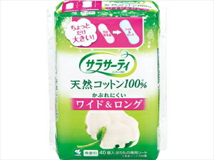 TT[eBRbg100 ChO 40 y ѐ z y pi z yPizI ikCEE͕ʓrj