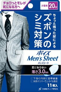 |CYYV[g ʗp 20CC 11 y {NVA z y pi z yPizI ikCEE͕ʓrj