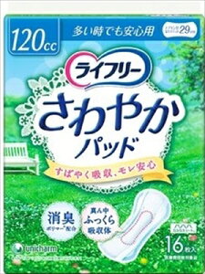 Ct[₩pbgłSp16 y pi z yPizI ikCEE͕ʓrj