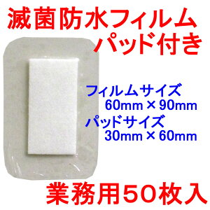 jv ŋۖhtBpbht T[WbgP 60×90mm Ɩp50 yPiz ݁IikCEE͕ʓrj