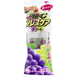 ރuXPA A\[g O[v}XJbg 25 yPiz ݁IikCEE͕ʓrj