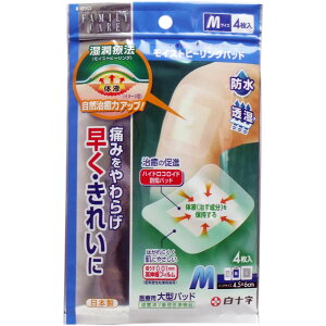 FCCXgq[Opbh ×p^pbh MTCY 4 yPiz ݁IikCEE͕ʓrj