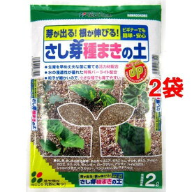 楽天市場 木立 ベゴニアの通販