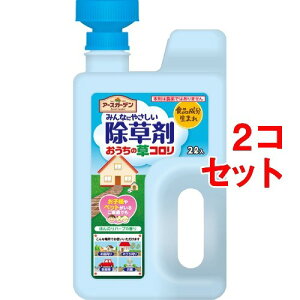 A[XK[f ݂Ȃɂ₳ ̑R WEwbh G΍(2L*2RZbg)yb00czyA[XK[fz[G  RP   ΍ t ԏ  ]