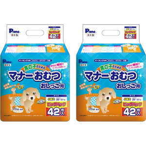 PE ʔ̗p j̎q̂߂̃}i[ނ p ^p(42*2)yPE(PEone)z