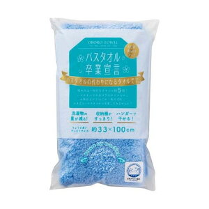 oX^IƐ錾 oX^I { LpXu[ 33*100cm(1)yoX^IƐ錾z