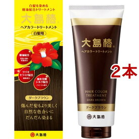 大島椿 ヘアカラートリートメント ダークブラウン(180g*2コセット)【大島椿シリーズ】[パラベンフリー ジアミンフリー 無香料 まとまり]