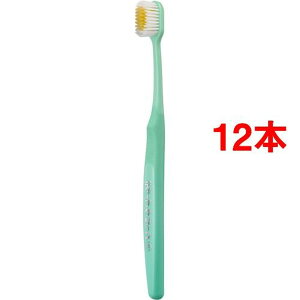 fB[vN[ nuV ԃv~APA 炩(12{Zbg)yfB[vN[z