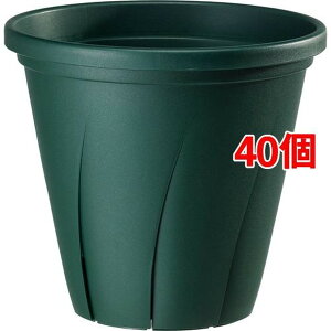 ͂蔫 10 _[NO[(9.6L*40Zbg)yavX`bNz