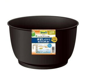 eg 傤ŃLC_J 30 (1)yTetra(eg)z