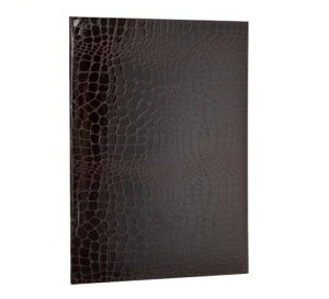 ؏E܏t@C A4^܂ uE FSPT-A4C-BR(1)