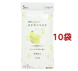 伊藤園 カテキンマスク 抗菌 不織布 個包装(5枚入*10袋セット)【伊藤園】